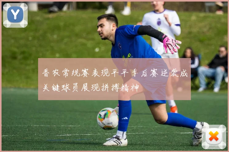 香农常规赛表现平平季后赛逆袭成关键球员展现拼搏精神